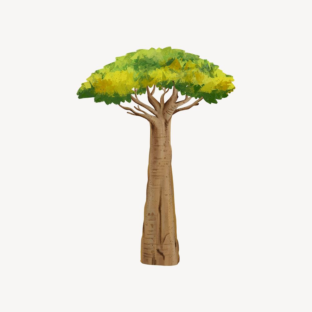 Baobab tree collage element, botanical illustration