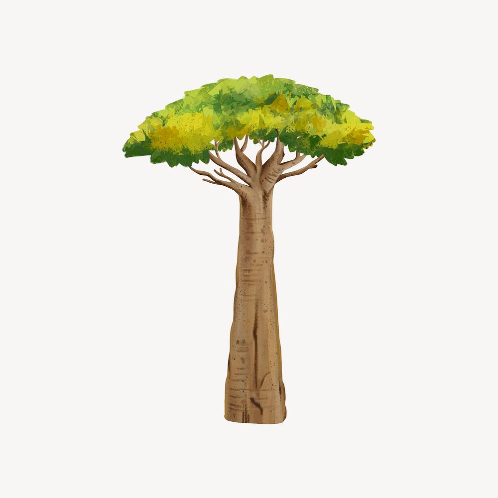 Baobab tree collage element, botanical illustration psd