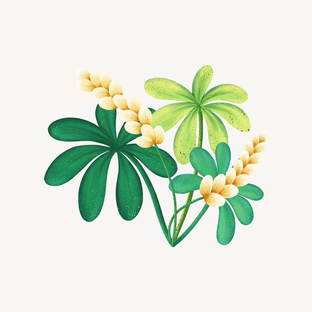 Tropical flower collage element, botanical illustration