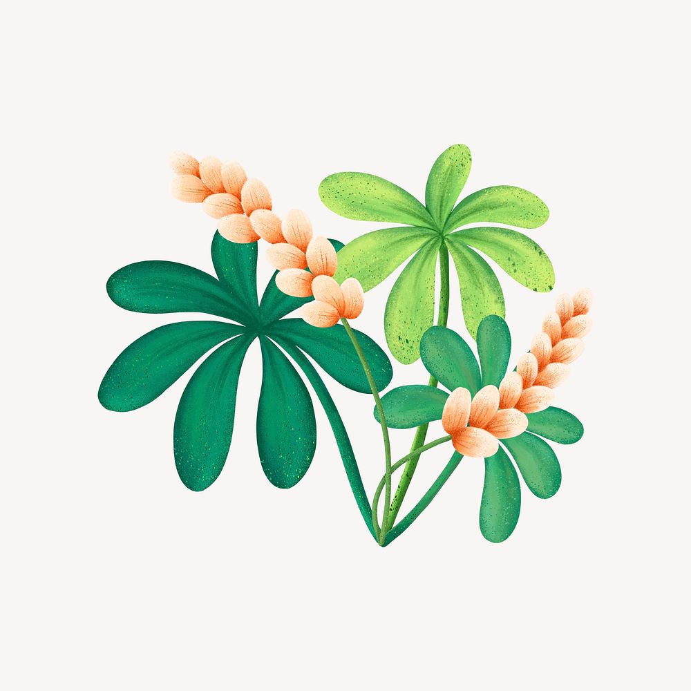 Tropical flower collage element, botanical illustration psd