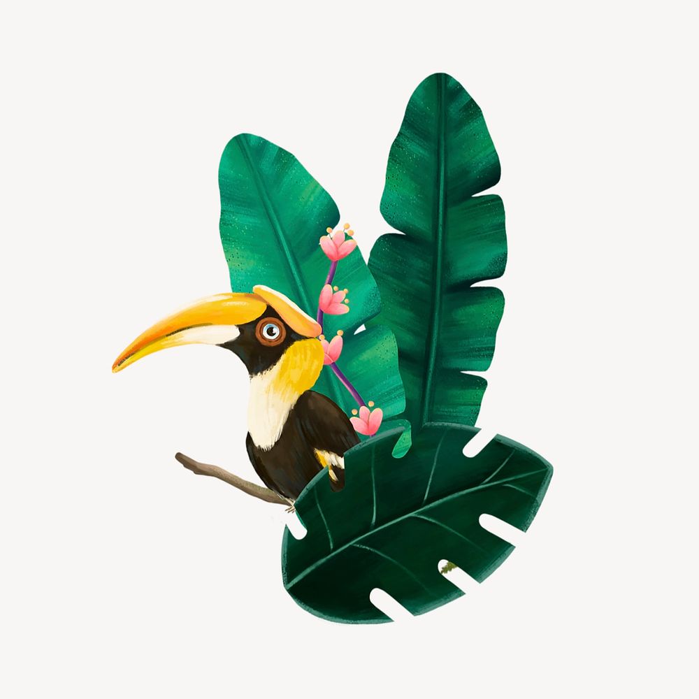 Hornbill bird collage element, cute animal illustration