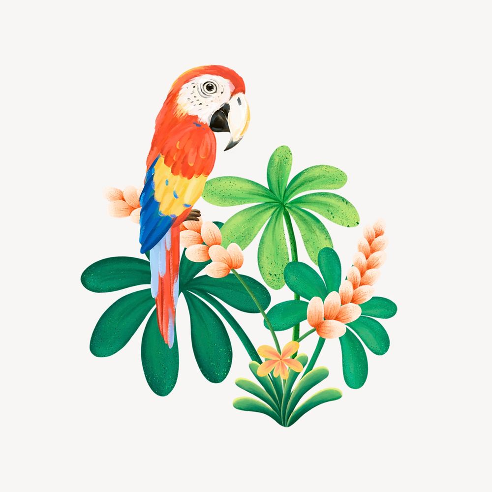 Macaw bird collage element, cute animal illustration