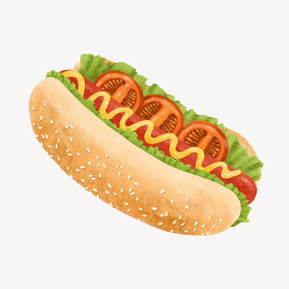 Hot dog, realistic food illustration