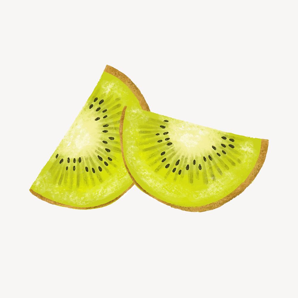 Kiwi slices, realistic fruit illustration