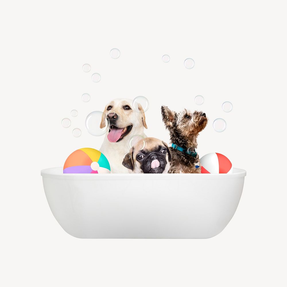 Bathing dogs in a bath Photo rawpixel