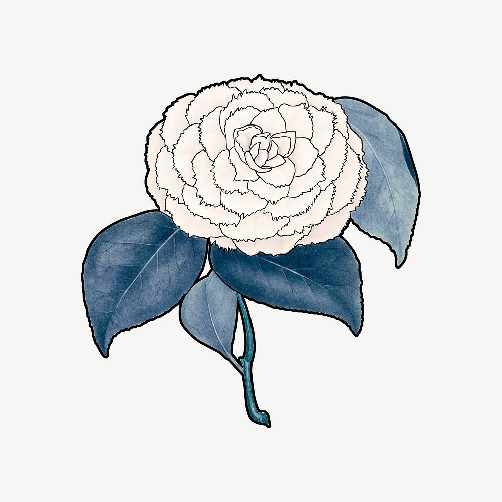 White camellia clipart psd, remixed by rawpixel