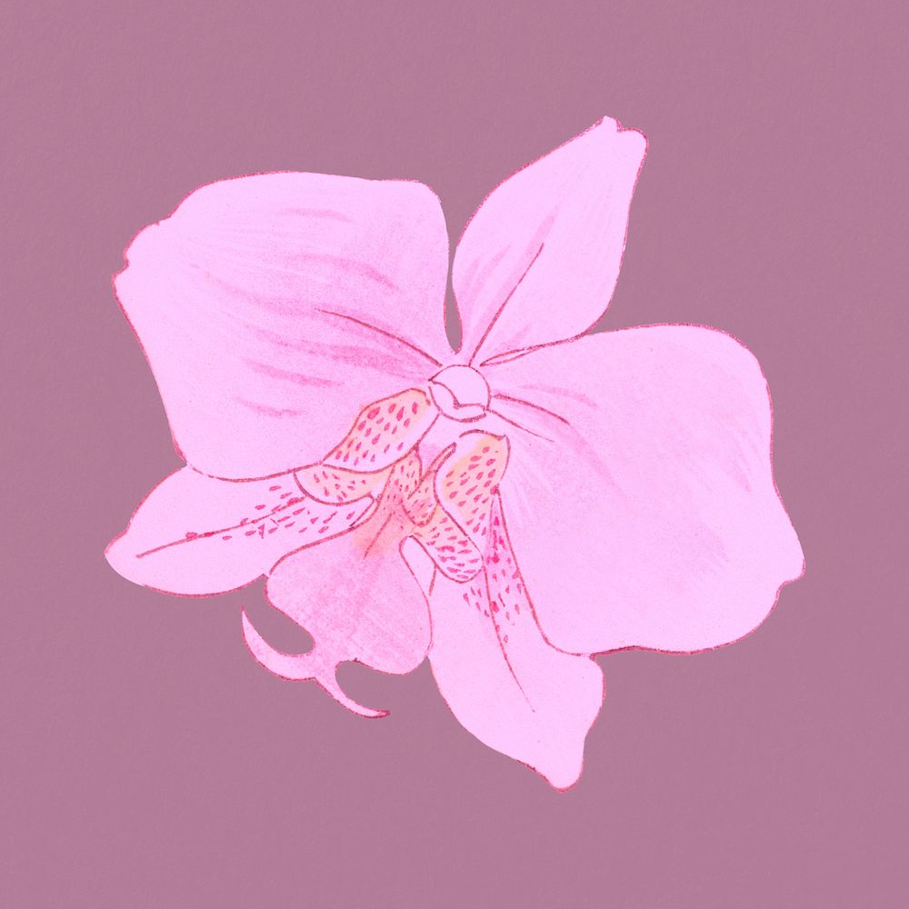Pink moth orchid clipart psd, remixed by rawpixel