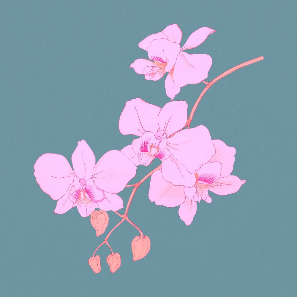 Pink moth orchid clipart psd, remixed by rawpixel