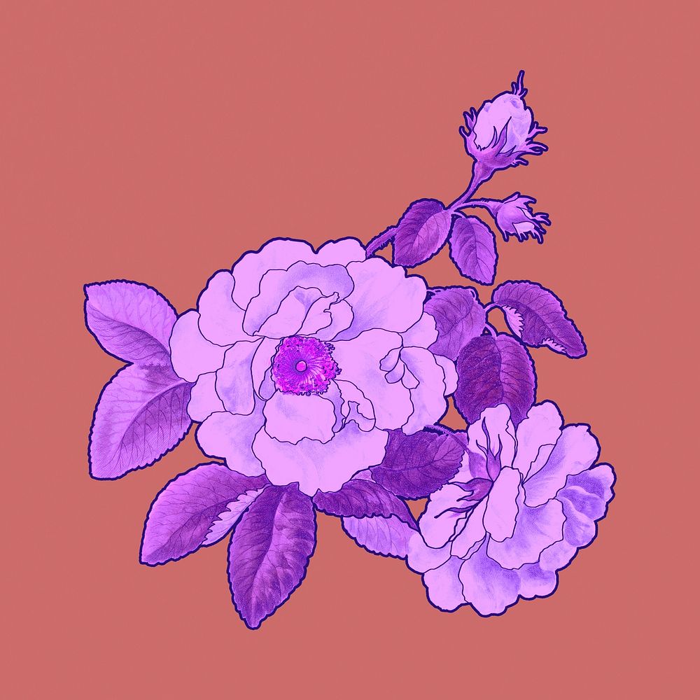 Purple rose clipart psd, remixed by rawpixel