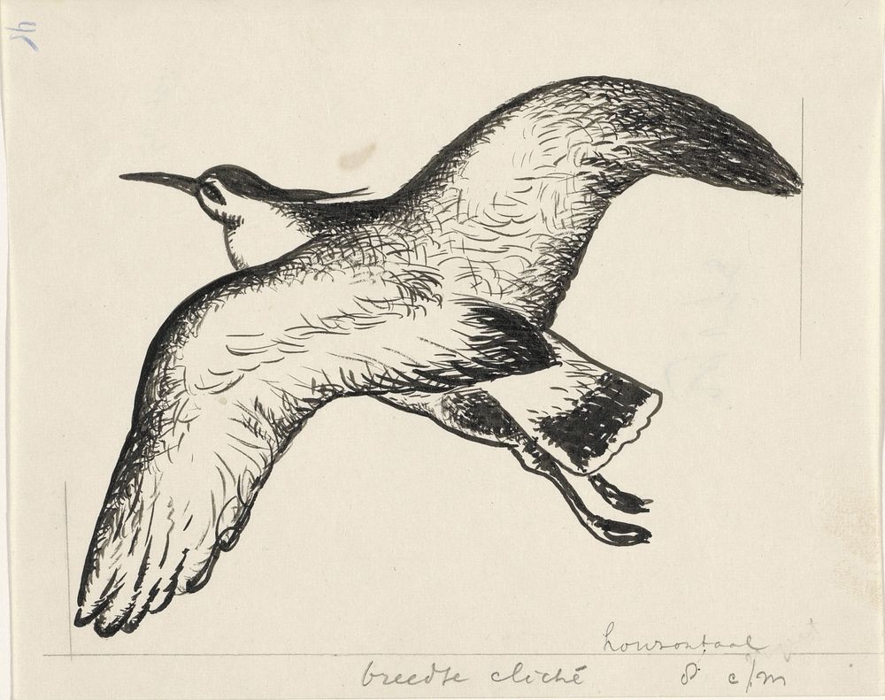 Vliegende vogel (1891&ndash;1941) drawing in high resolution by Leo Gestel.  