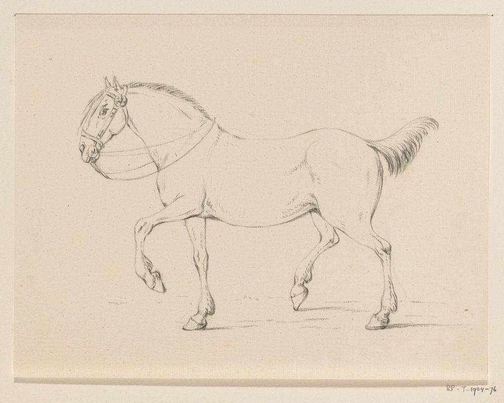 Stappend paard, naar links (1775–1833) drawing in high resolution by Jean Bernard.  