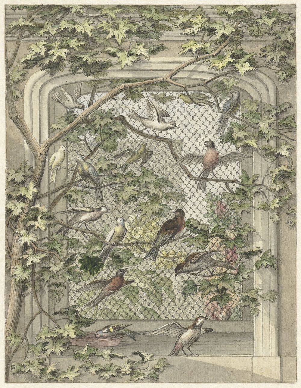 Volière met veertien vogels (ca. 1720–1792) painting in high resolution by Aert Schouman. 