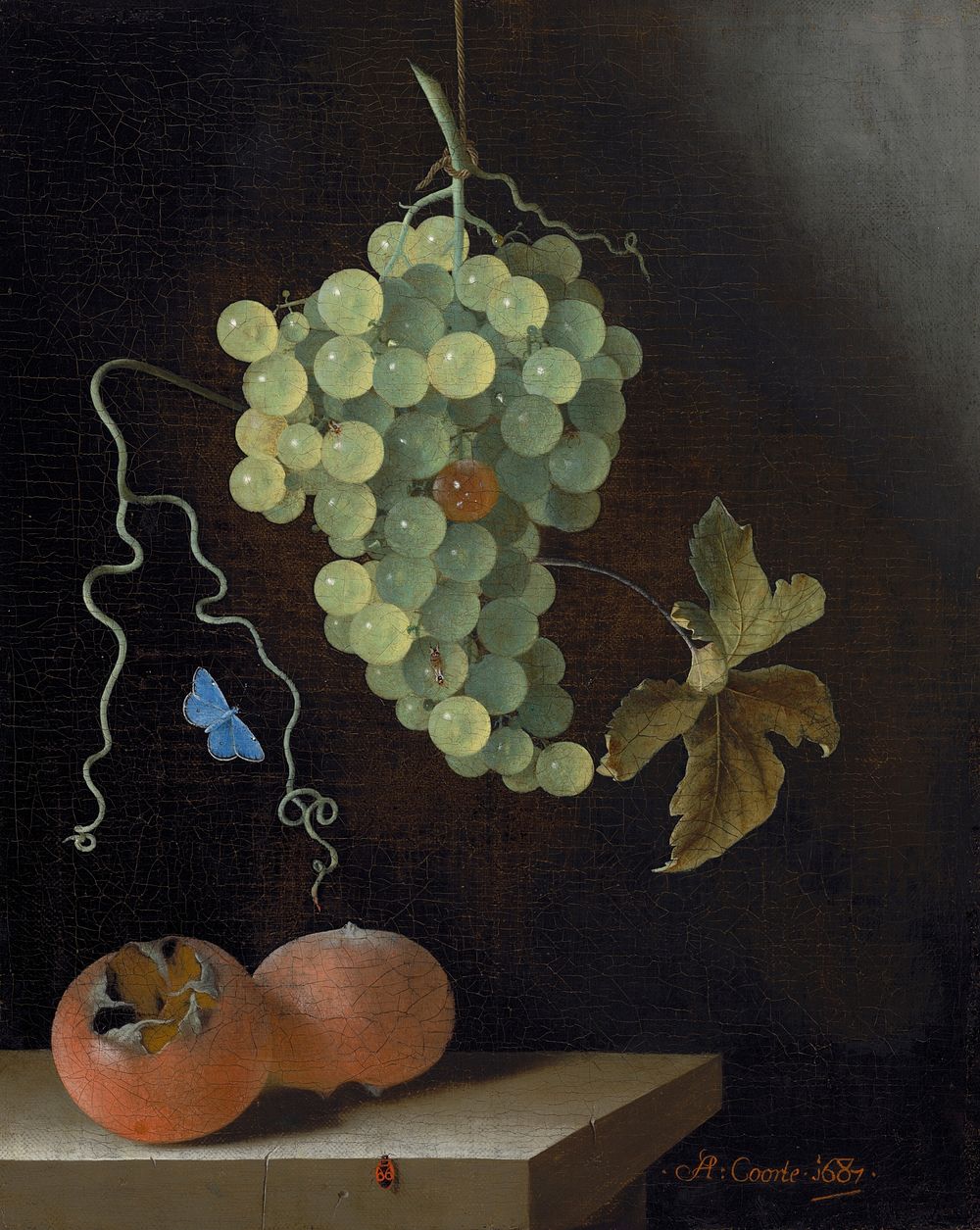 Still Life with a Hanging Bunch of Grapes, Two Medlars, and a Butterfly (1687) by Adriaen Coorte.  