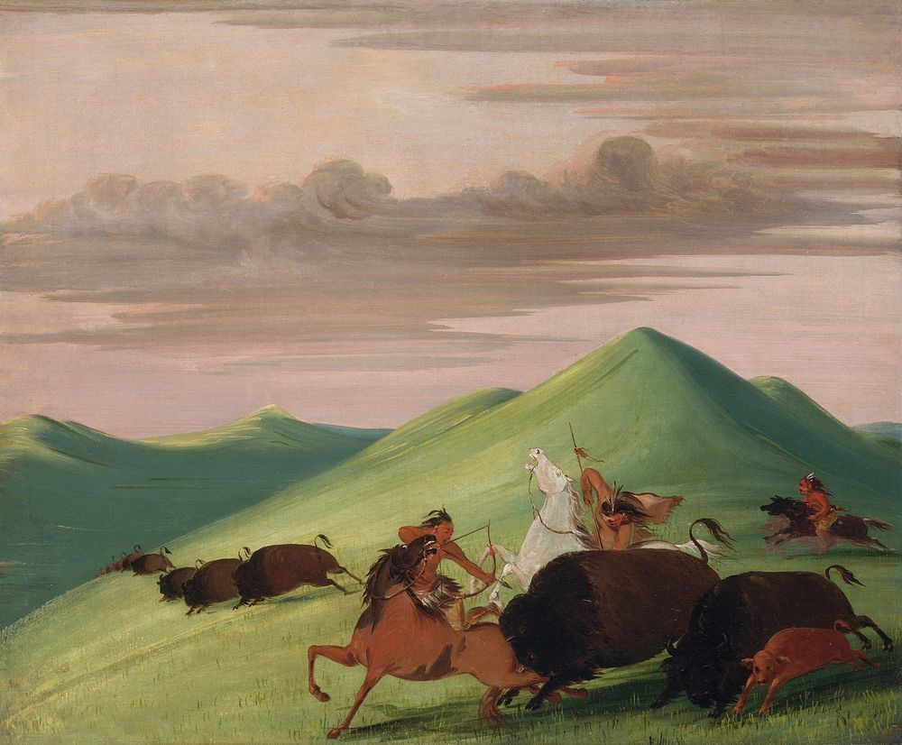 Buffalo Chase, Bull Protecting a Cow and Calf (1832–1833) painting in high resolution by George Catlin.  