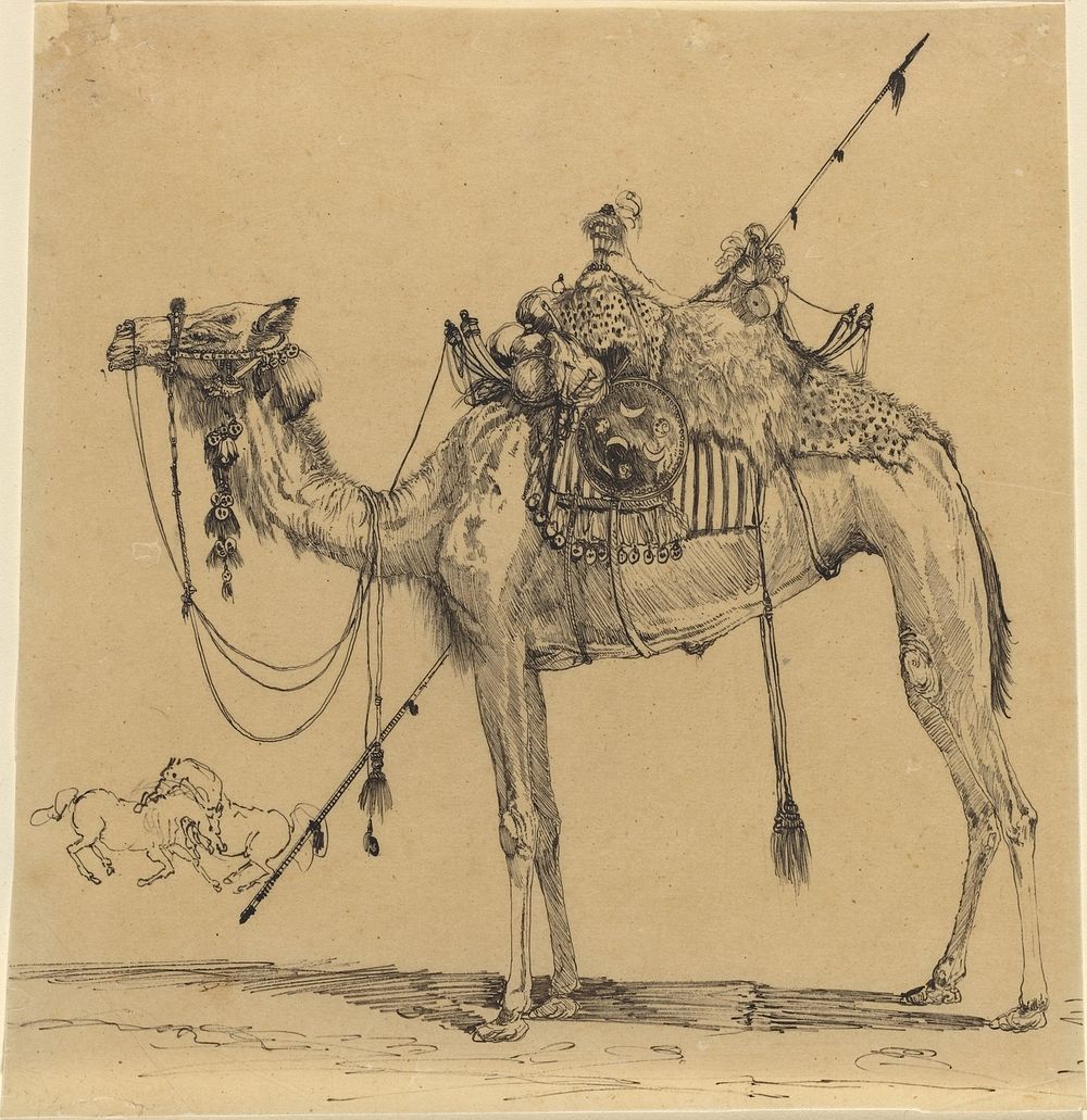 The Camel by Rodolphe Bresdin (1822&ndash;1885)  
