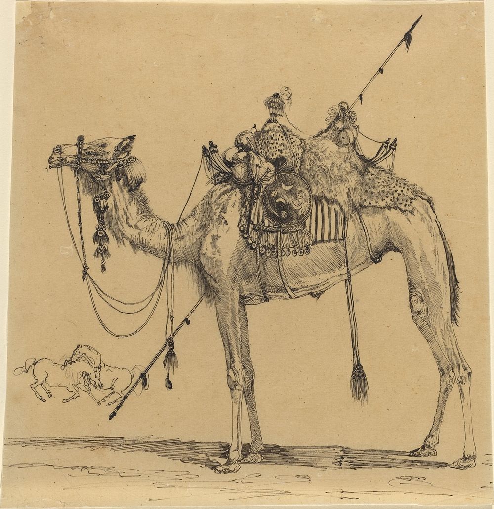 The Camel by Rodolphe Bresdin (1822–1885)  