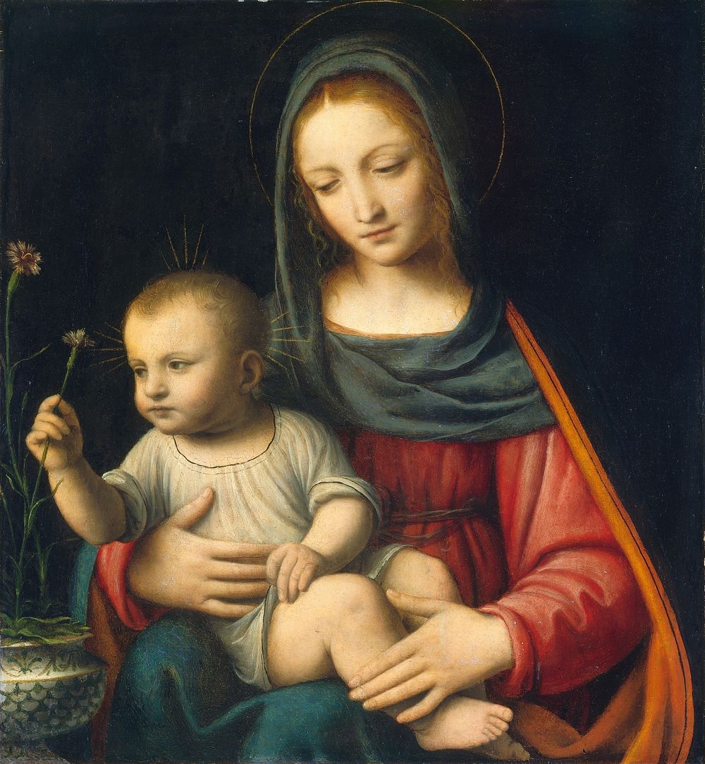 The Madonna of the Carnation (ca. 1515) by Bernardino Luini.  