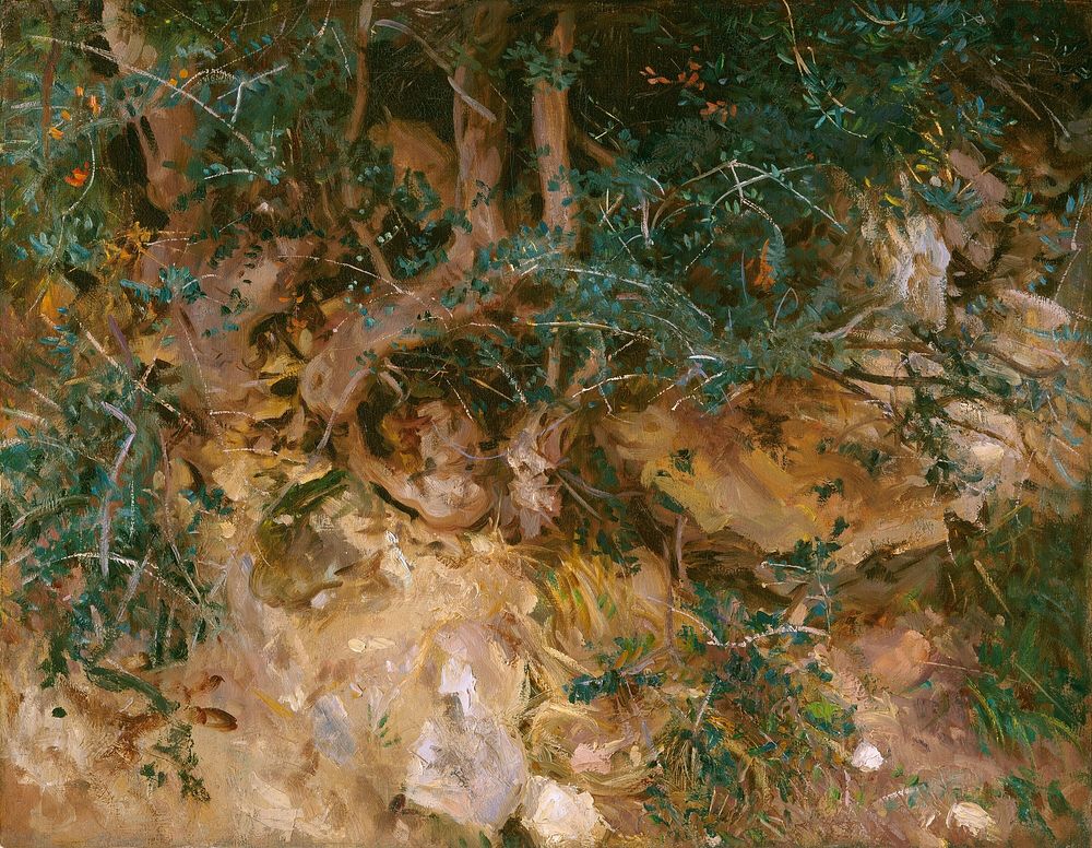 Valdemosa, Majorca: Thistles and Herbage on a Hillside (1908) by John Singer Sargent.  