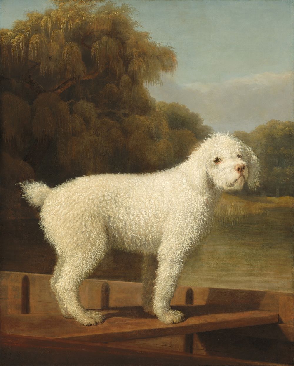 White Poodle in a Punt (ca. 1780) by George Stubbs.  