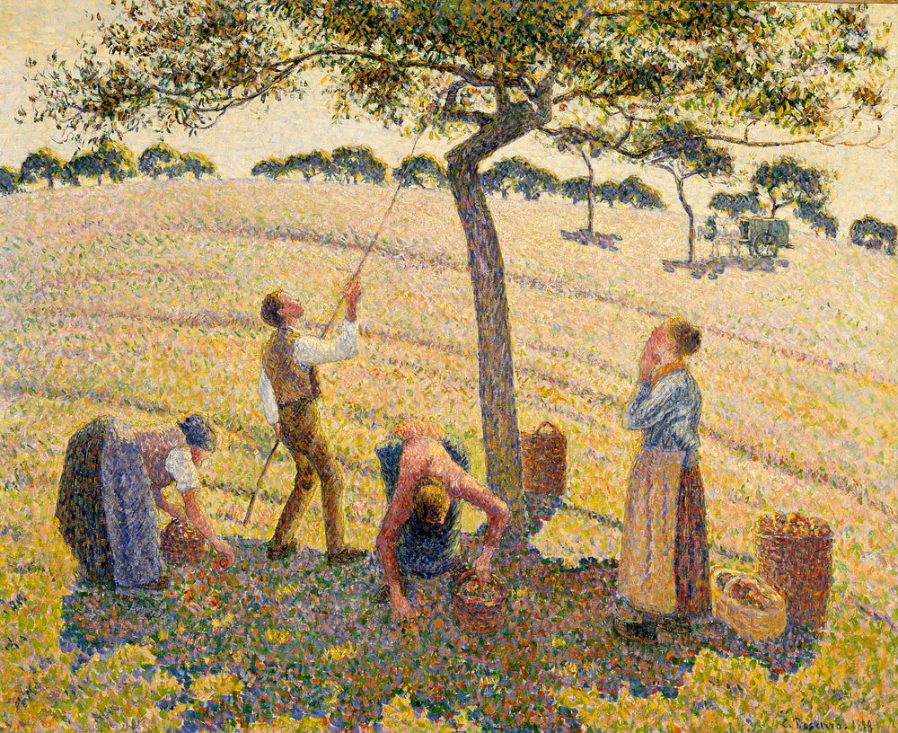 Apple Harvest (1888) painting in high resolution by Camille Pissarro. 