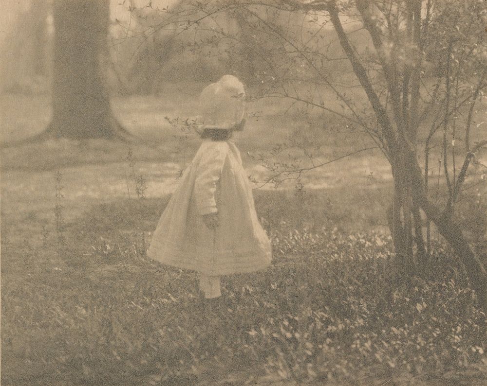 Spring (1901) photo in high resolution by Alfred Stieglitz.  