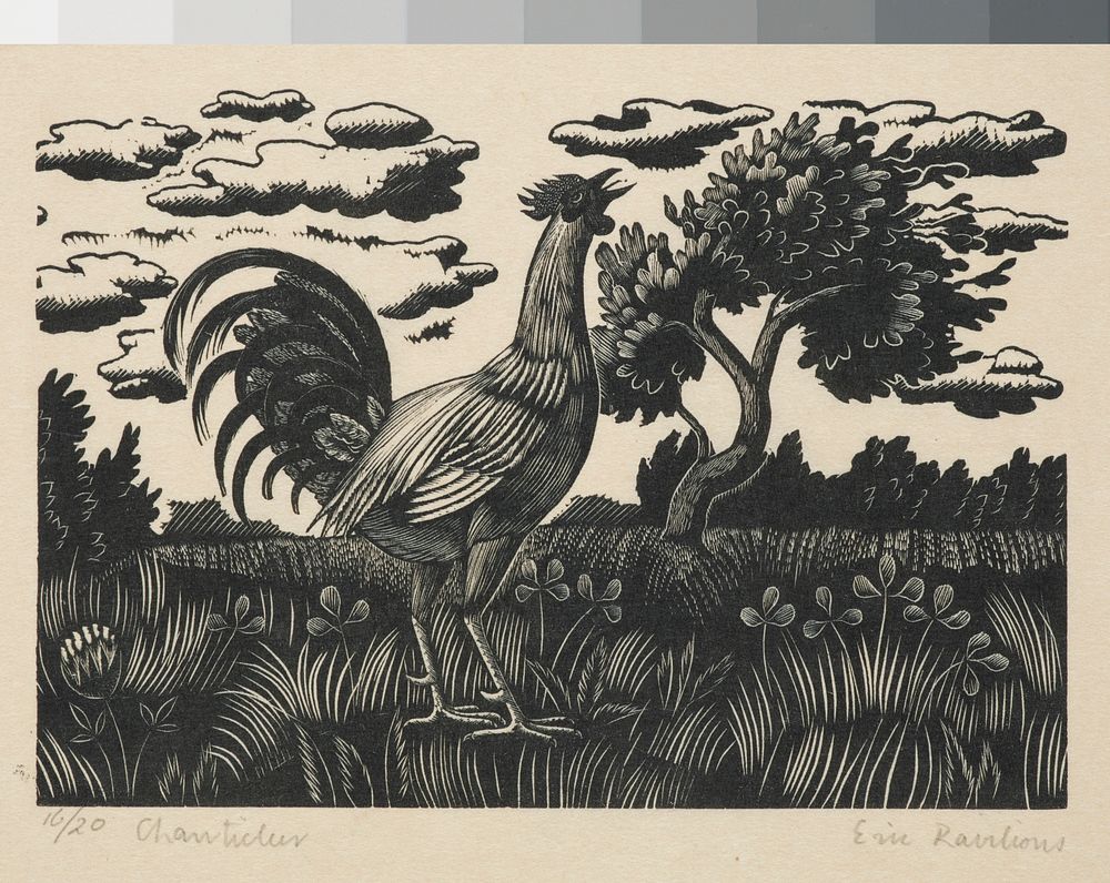 Public domain image from Museum of New Zealand