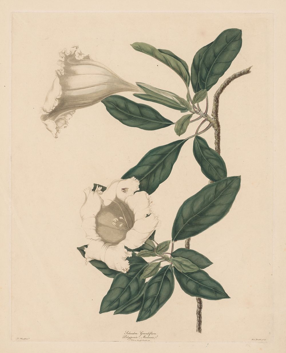 Original public domain image from Cleveland Museum of Art