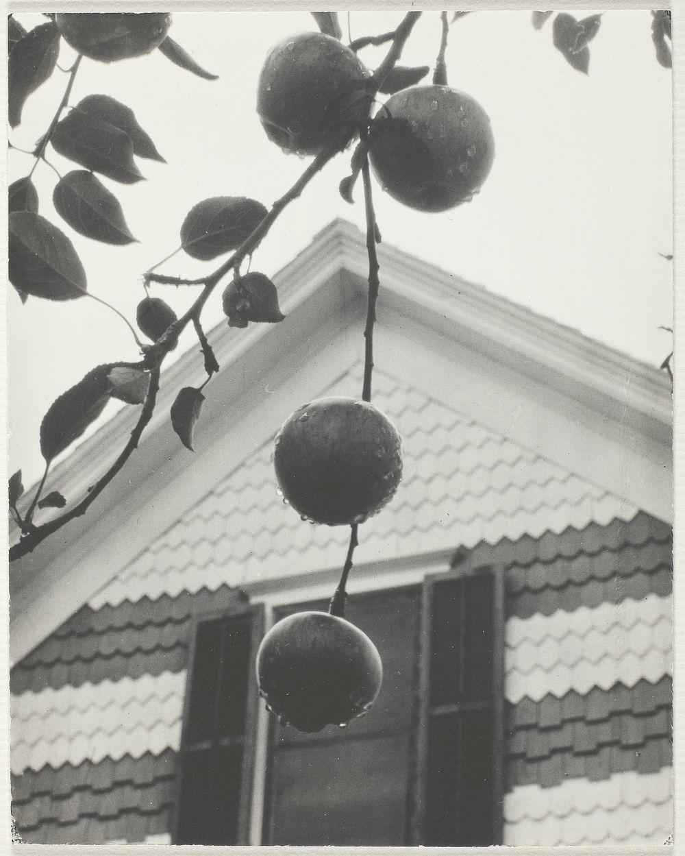 Gable and Apples (1922) by Alfred Stieglitz.  