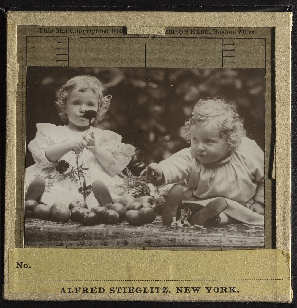 Nieces – Flora holding flower, and Hedwig (ca. 1896) by Alfred Stieglitz.  