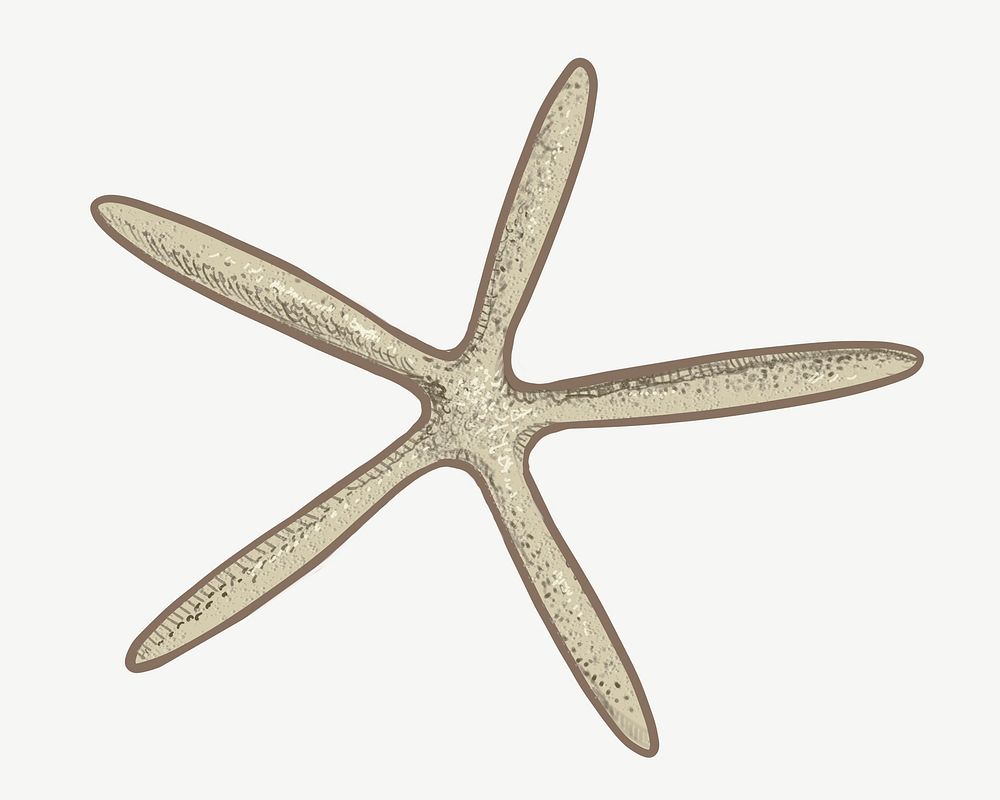 Starfish illustration collage element psd