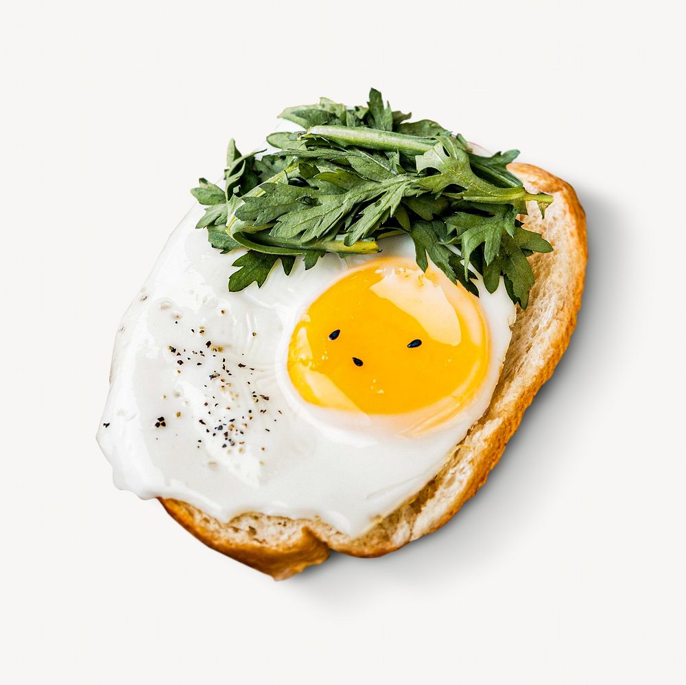 Fried egg sandwich isolated design