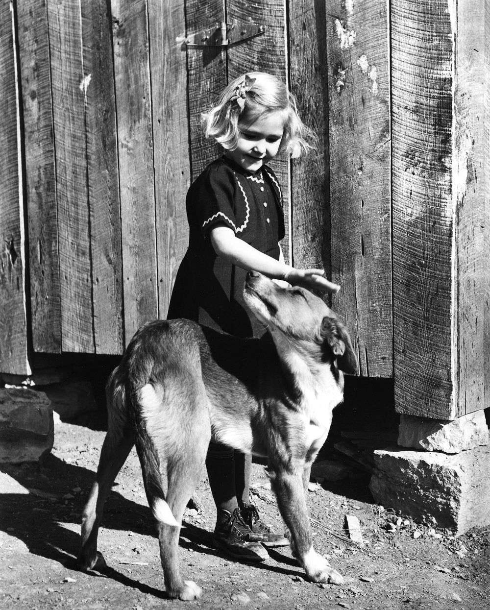 Girl with dog Pre Oak Ridge 1939