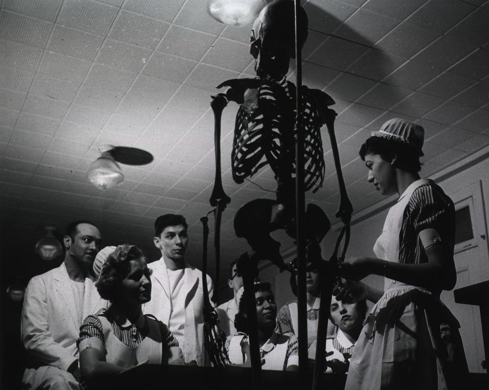 Learning the skeletal structure. View of a skeletal instruction session. Original public domain image from Flickr