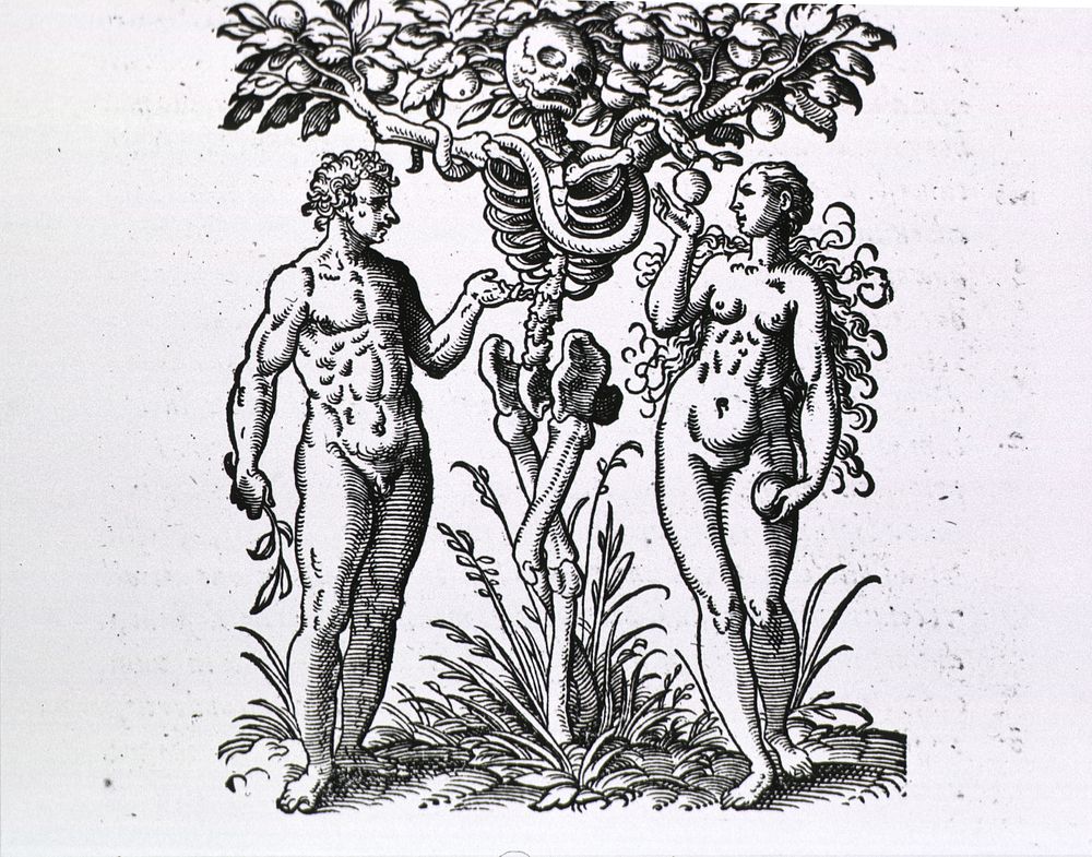 Adam and Eve FiguresCollection:Images from the History of Medicine (IHM) Author(s):Rueff, Jakob, ca.1500-1558…