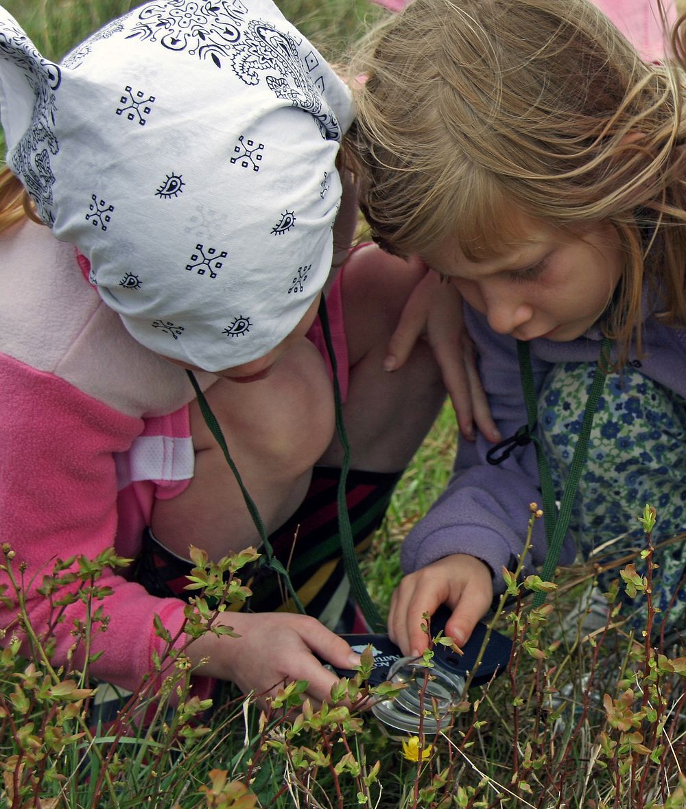 Children examining wildflower. Original public domain image from Flickr