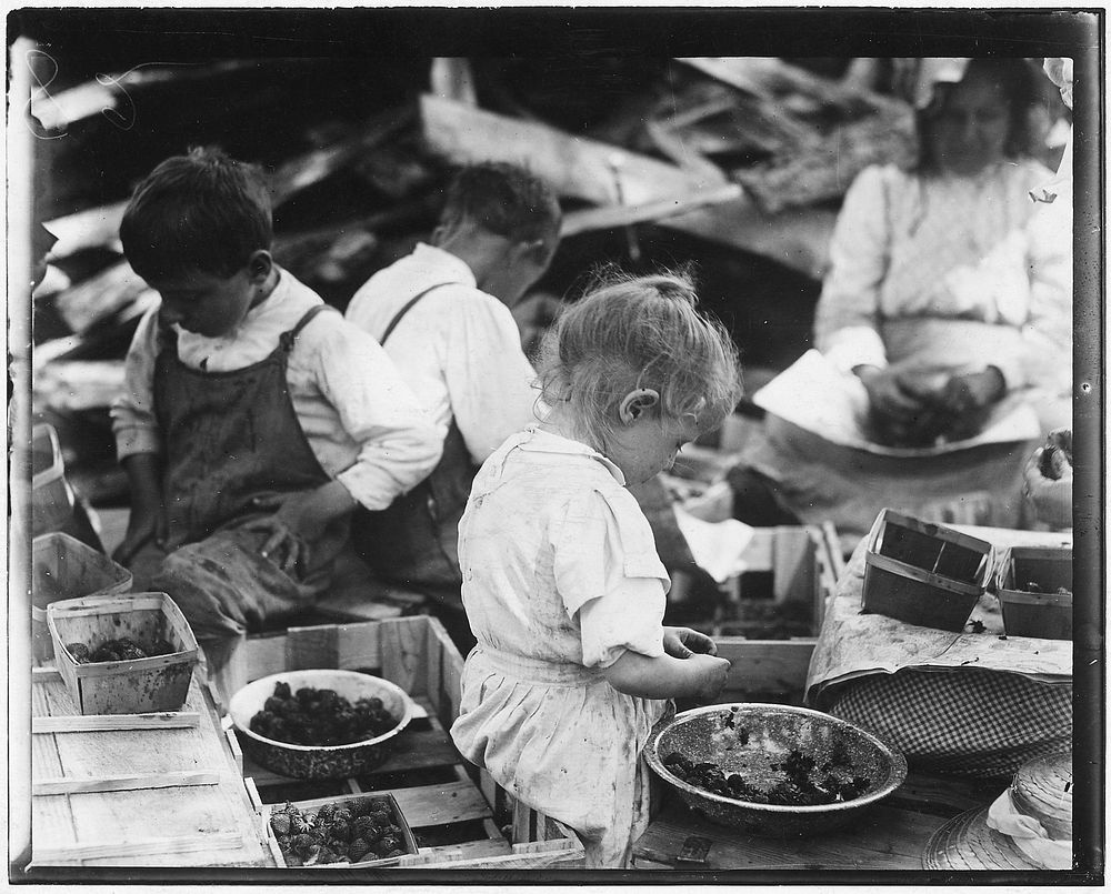 3 year old and 2 boys hulling berries at Johnson's Canning Camp. Seaford, Del, May 1910. Photographer: Hine, Lewis. Original…