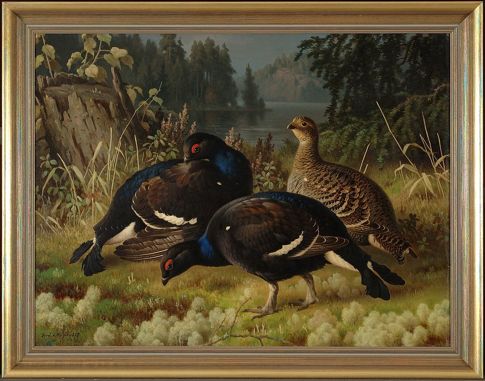 Black grouse, two cocks and a hen, 1875, by Ferdinand von Wright