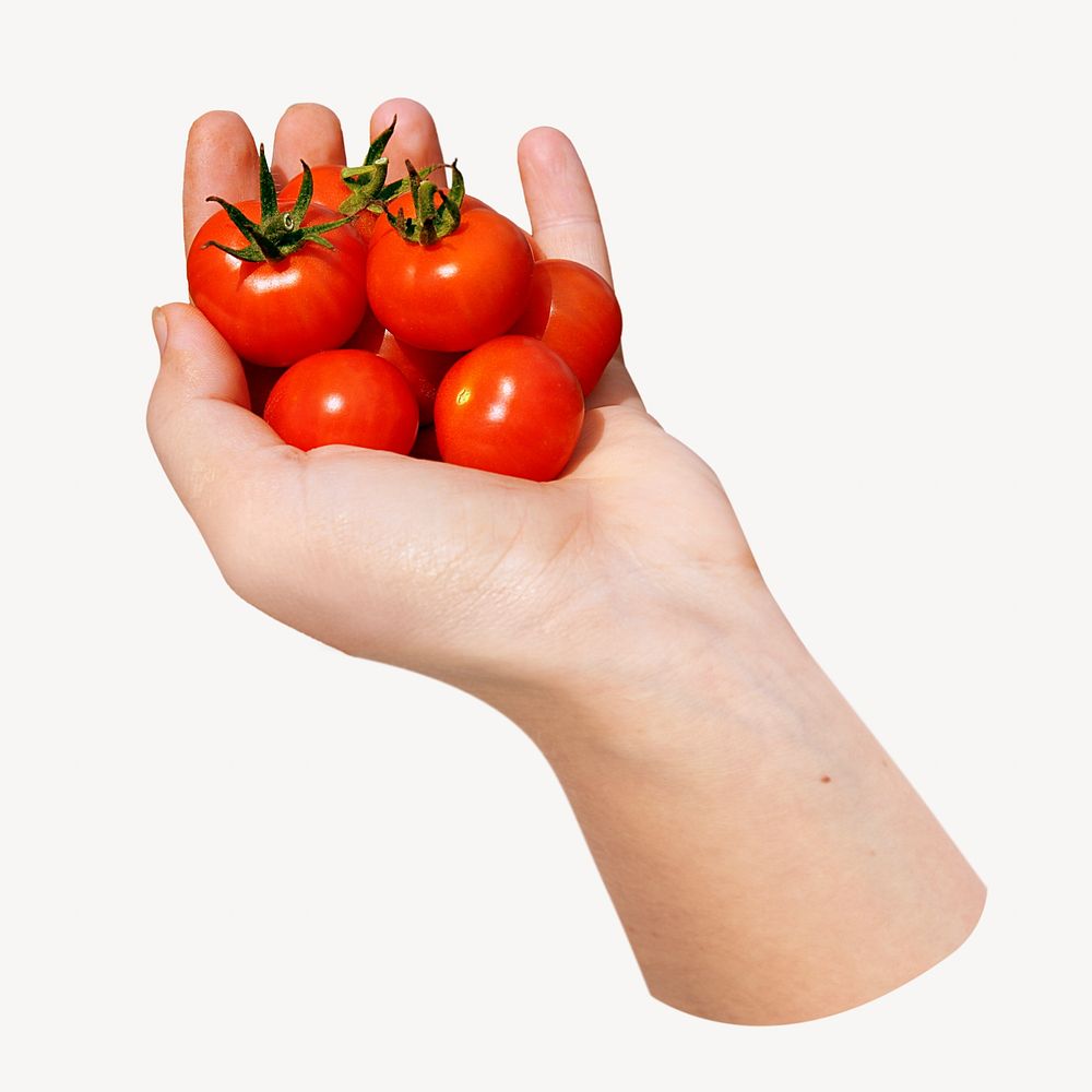 Hand holding cherry tomatoes 