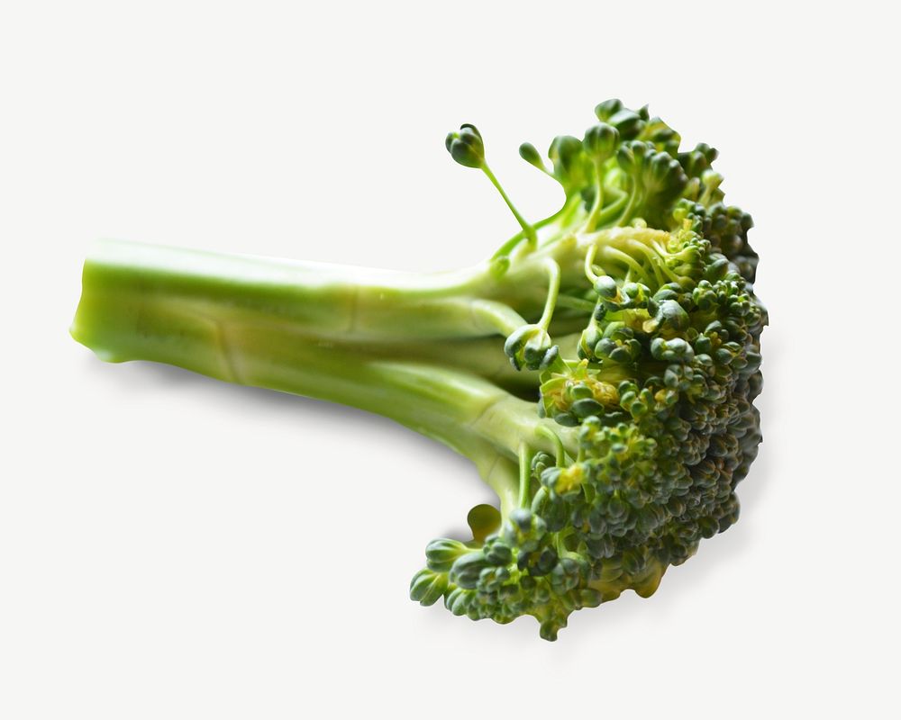 Broccoli vegetable collage element psd
