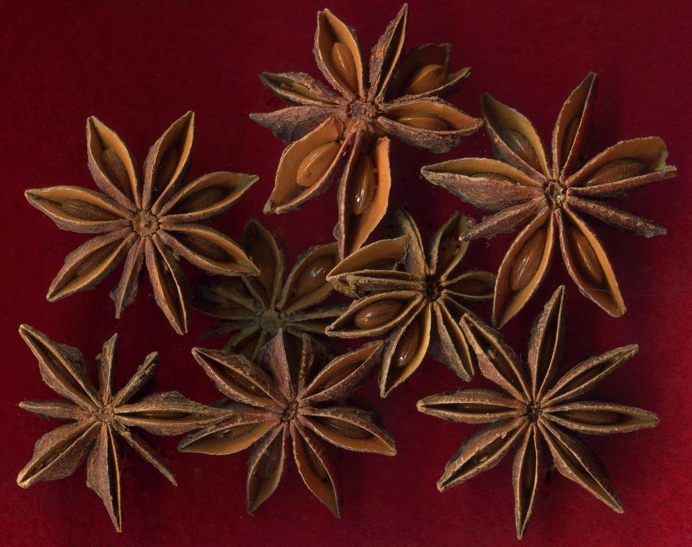 Anise, aromatic spices. View public domain image source here