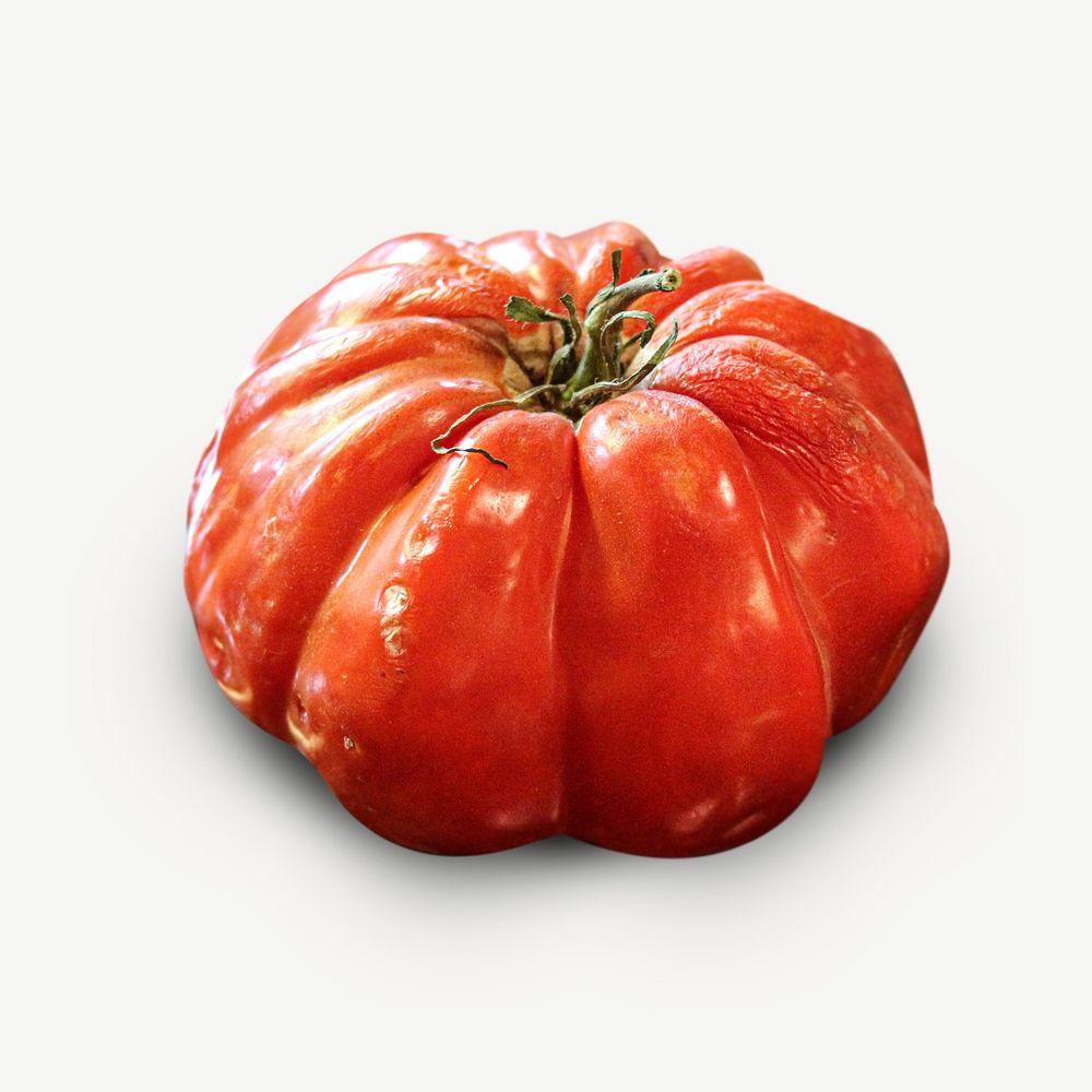 Tomato vegetable collage element psd