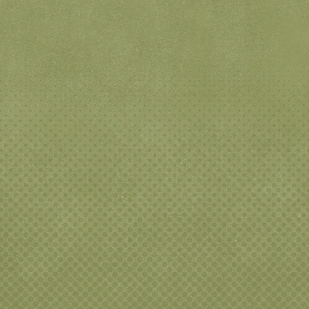 Green textured background, simple design