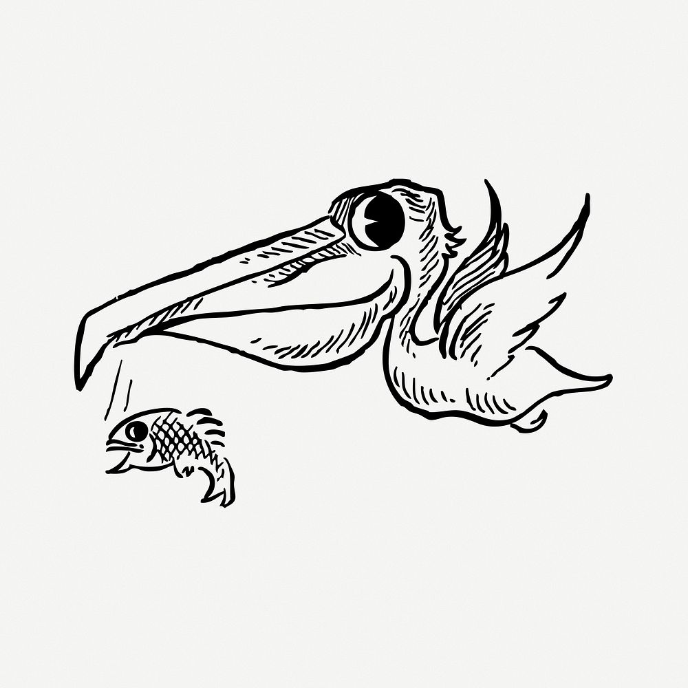 Pelican clipart, illustration psd. Free public domain CC0 image.