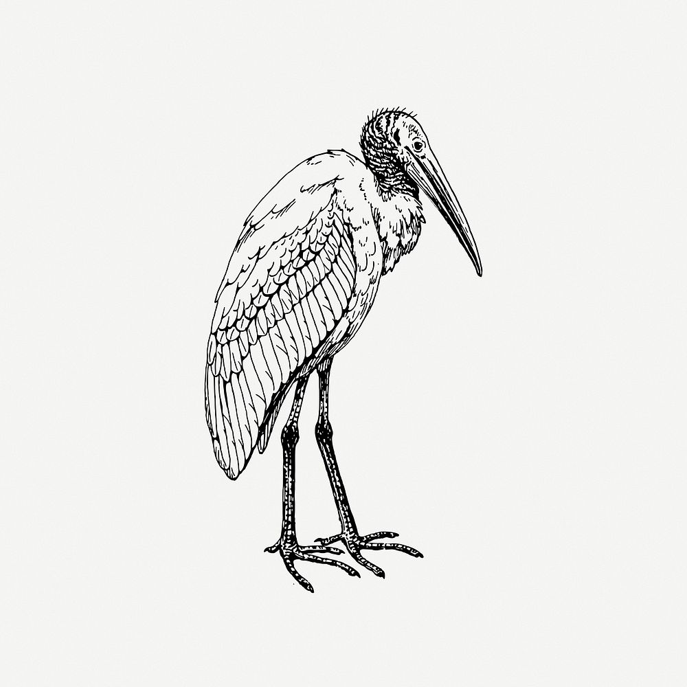 Bird clipart, illustration psd. Free public domain CC0 image.