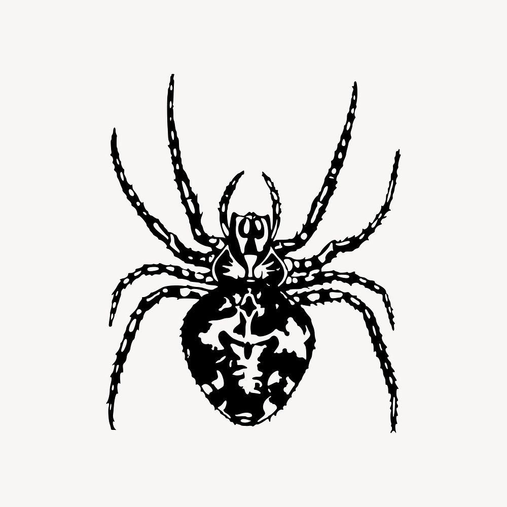 Spider clipart vector. Free public domain CC0 image.