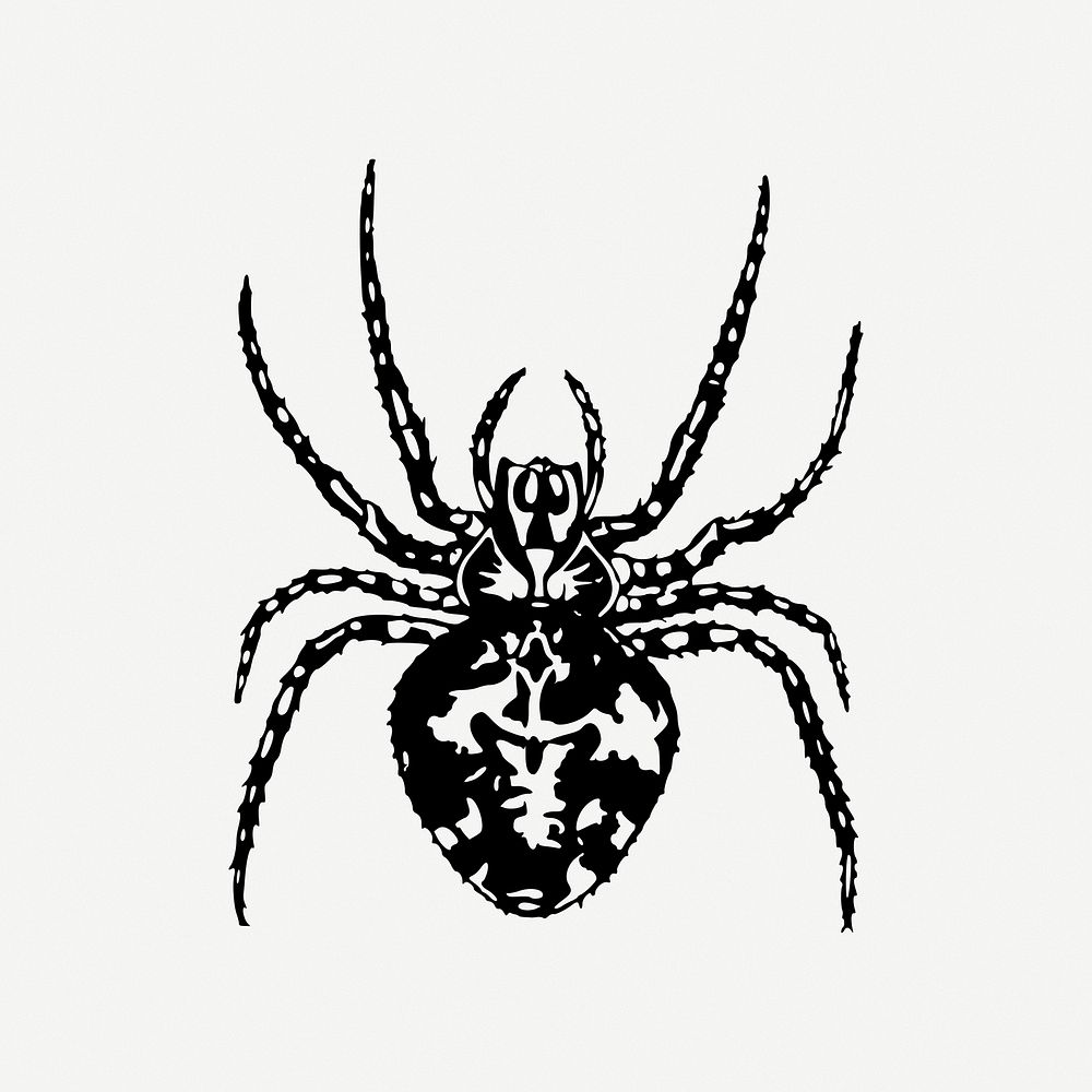 Spider clipart psd. Free public domain CC0 image.
