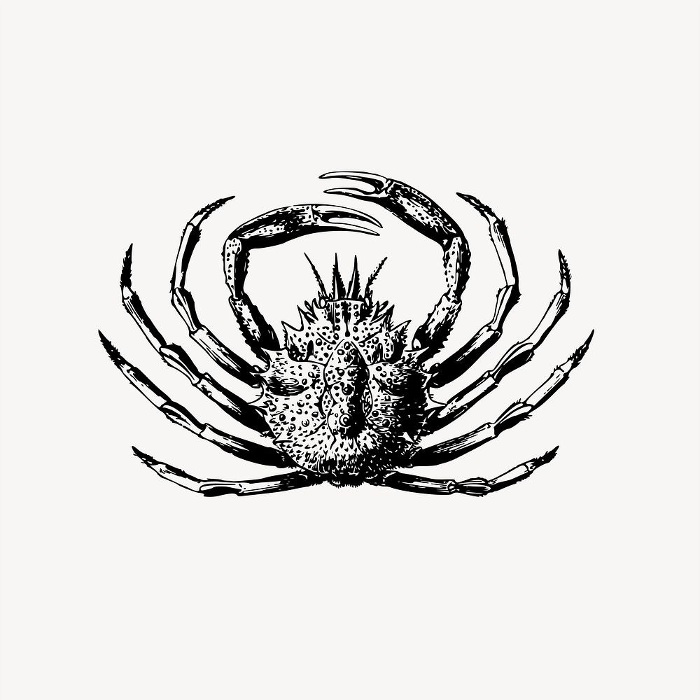King crab clipart, illustration. Free public domain CC0 image.