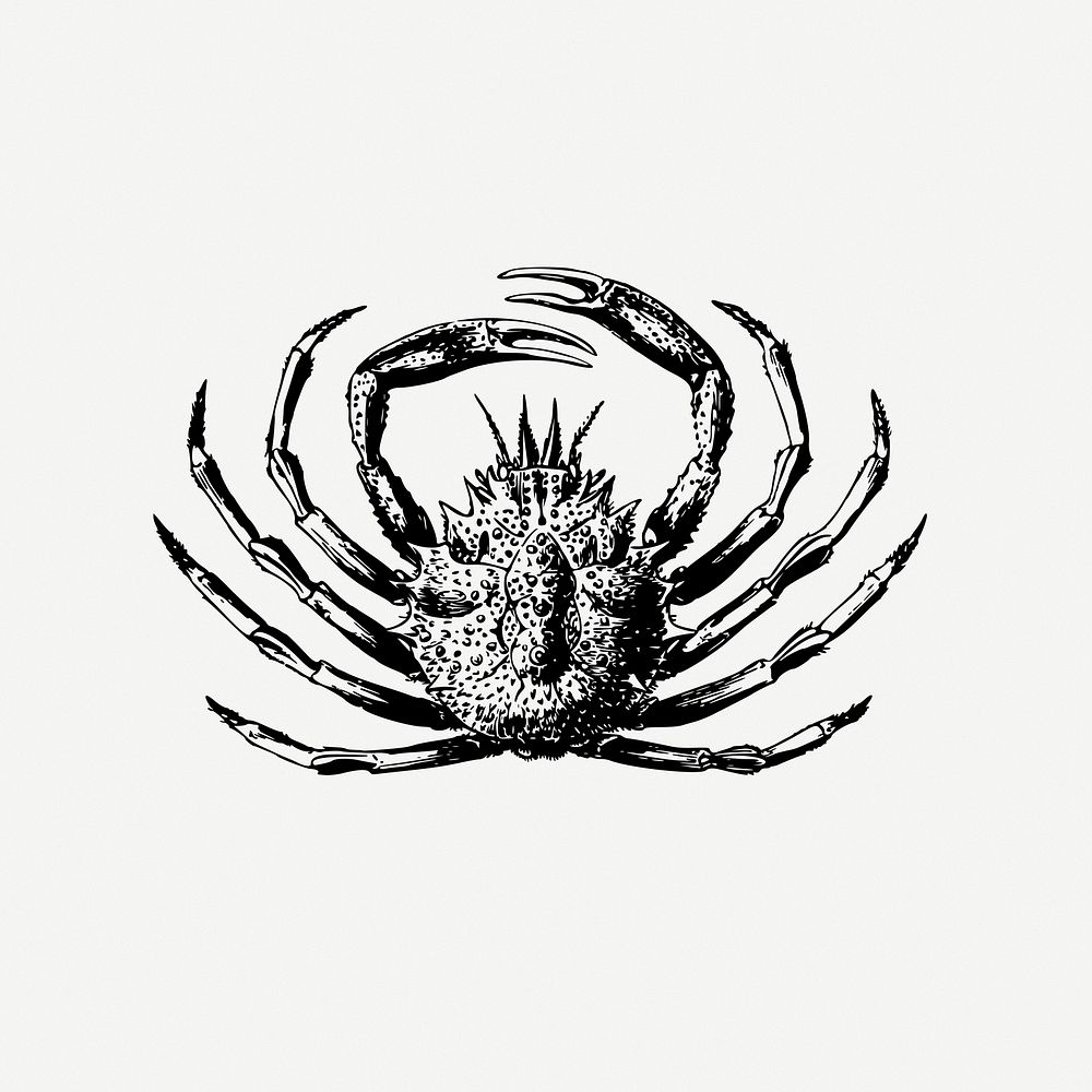 King crab clipart, illustration psd. Free public domain CC0 image.