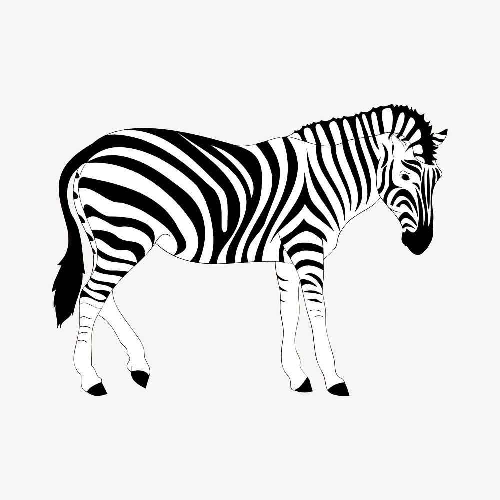 Zebra clipart vector. Free public | Free Vector - rawpixel