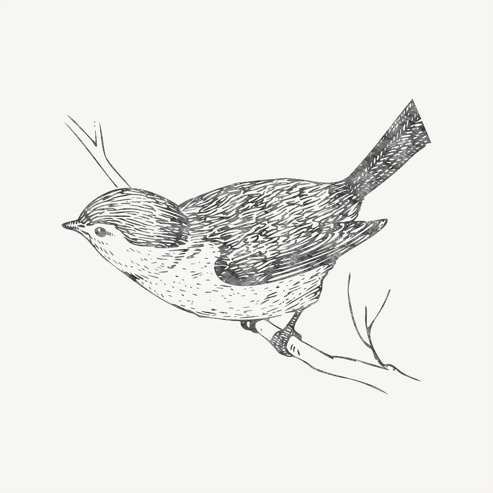 Bird sketch clipart, illustration psd. Free public domain CC0 image.
